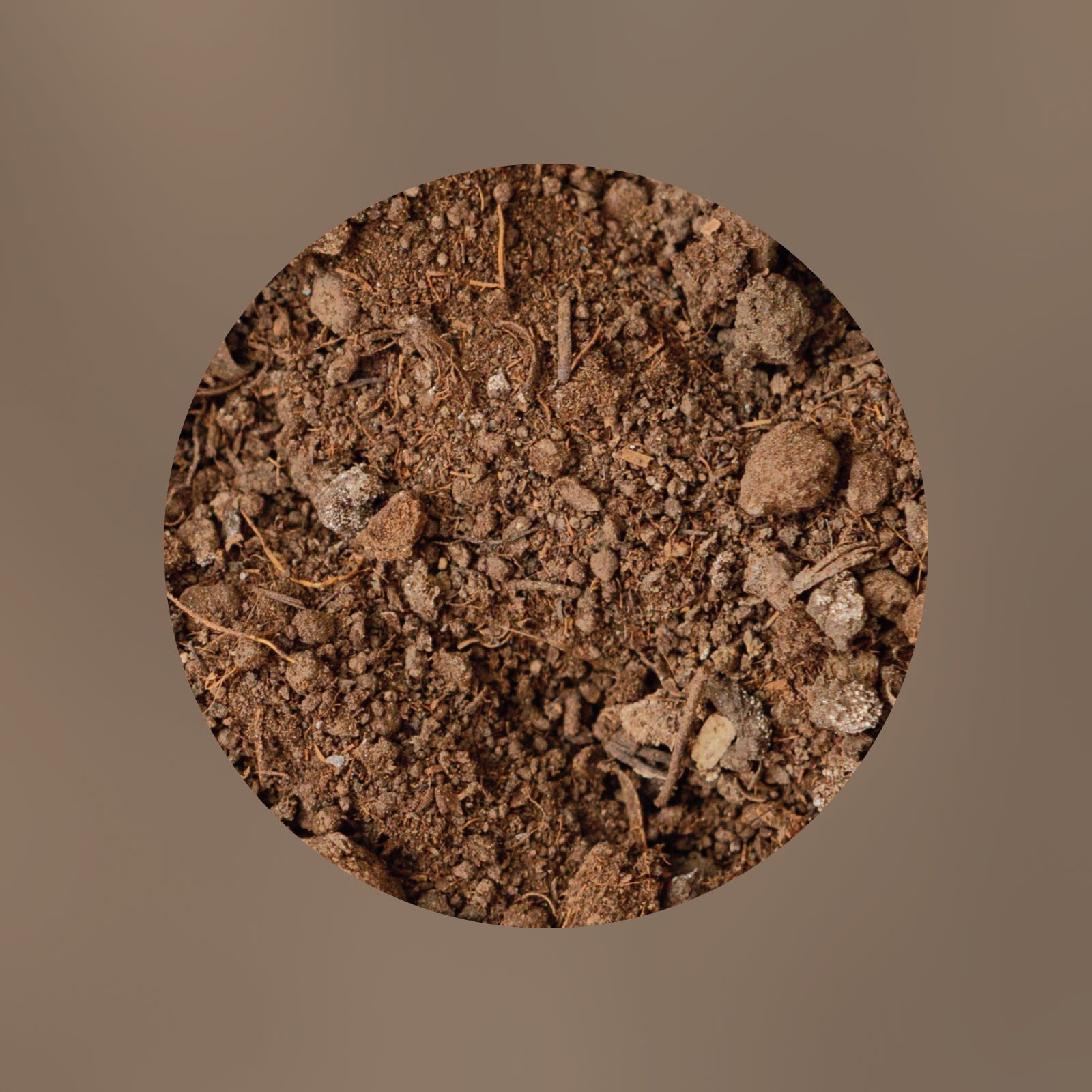 Nahaufnahme eines braunen Bodens mit kleinen Steinen und organischem Material, dargestellt in einem runden Rahmen vor einem einfarbig braunen Hintergrund.