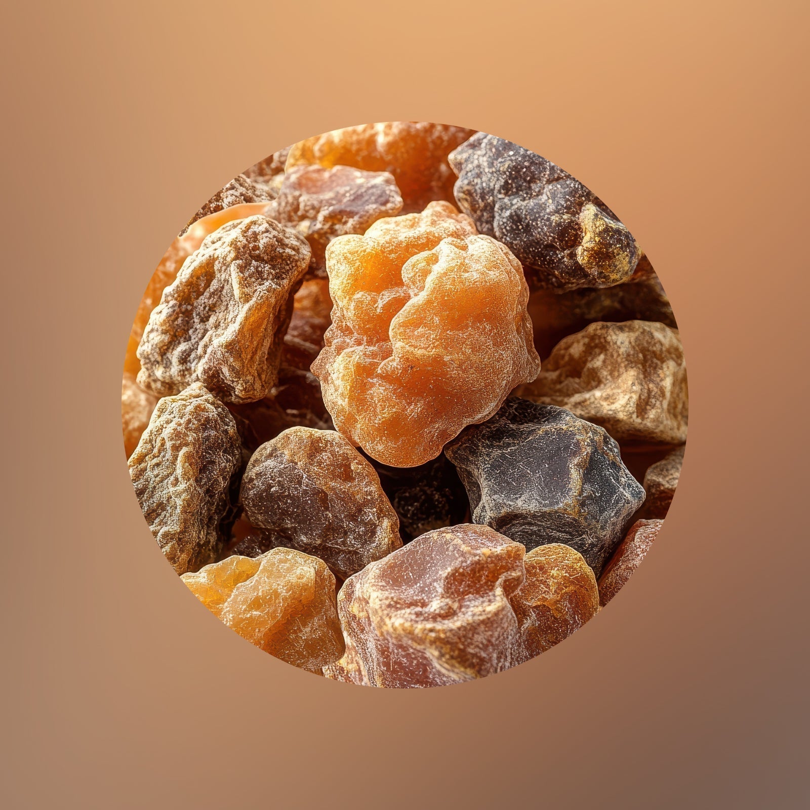 Nahaufnahme mehrerer unregelmäßig geformter, durchscheinender, bräunlich-oranger Harzbrocken mit rauer Textur vor einem weichen, braunen Hintergrund mit Farbverlauf.