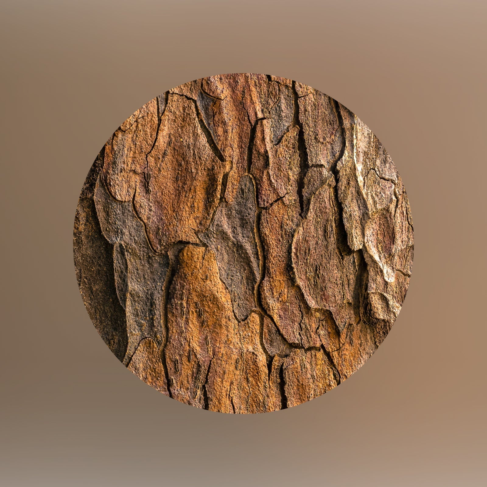 Nahaufnahme von rauer, strukturierter Baumrinde in Braun- und Orangetönen, dargestellt in einem kreisförmigen Rahmen auf einem weichen, braunen Hintergrund mit Farbverlauf.