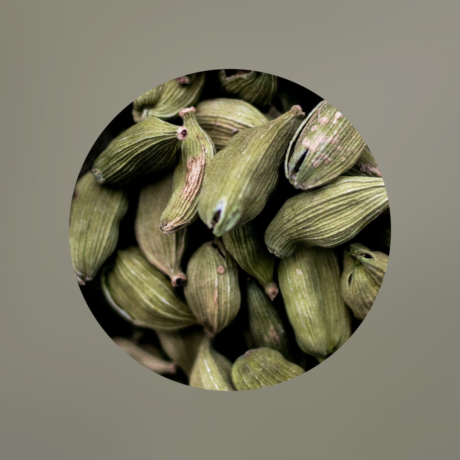 Eine Nahaufnahme mehrerer grüner Kardamomkapseln, die ihre gerippte Struktur und ihre natürliche grüne Farbe zeigen und dicht nebeneinander in einem runden Rahmen angeordnet sind.